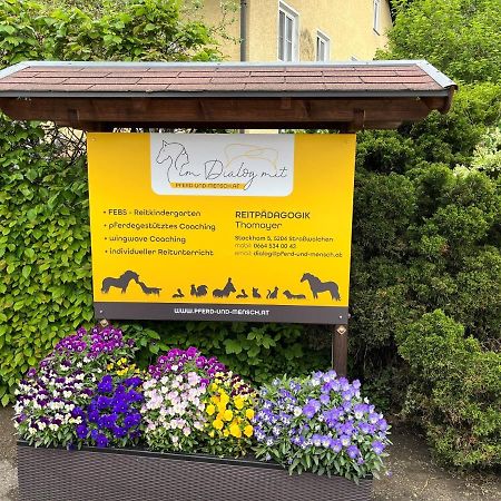 Pferdehof Thomayer Strasswalchen Zewnętrze zdjęcie