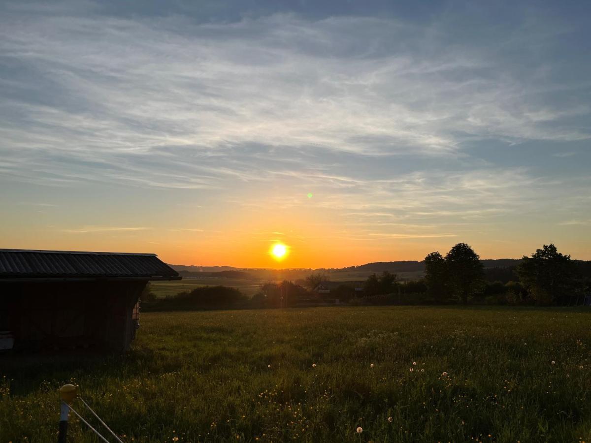 Pferdehof Thomayer Strasswalchen Zewnętrze zdjęcie