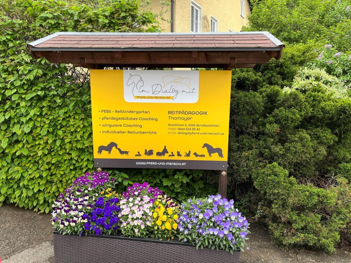 Pferdehof Thomayer Strasswalchen Zewnętrze zdjęcie