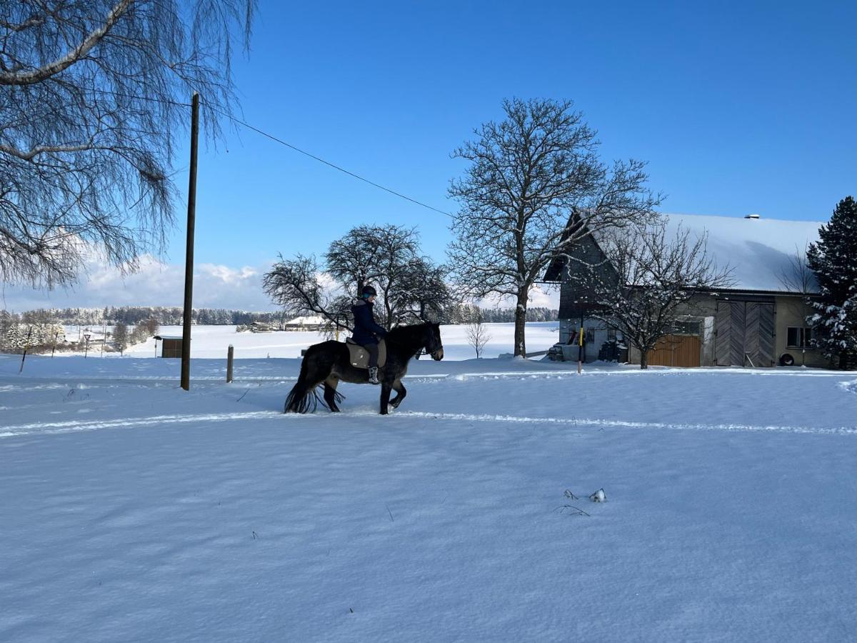 Pferdehof Thomayer Strasswalchen Zewnętrze zdjęcie