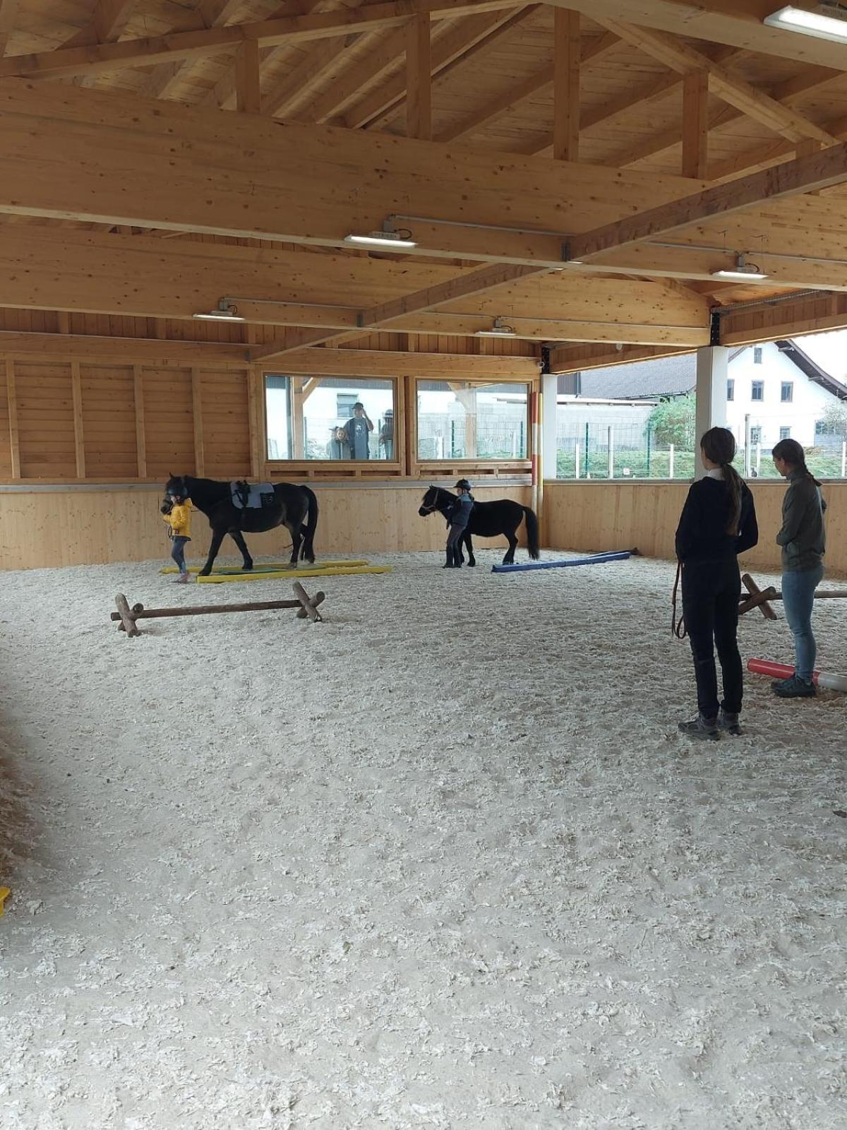 Pferdehof Thomayer Strasswalchen Zewnętrze zdjęcie